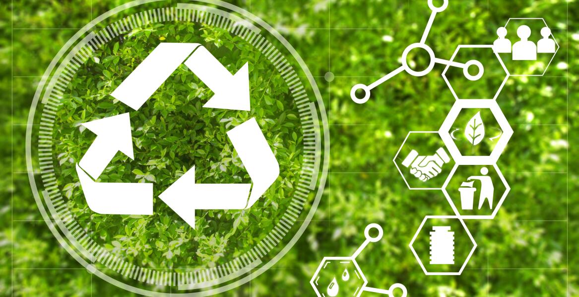 Innowacyjne podejścia do zarządzania odpadami zielonymi w mieście