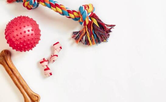 Przysmaki dla szczeniaka – jakie korzyści przynoszą w treningu?