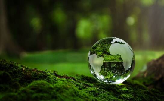 Jak myjki biologiczne przyczyniają się do ochrony środowiska w przemyśle