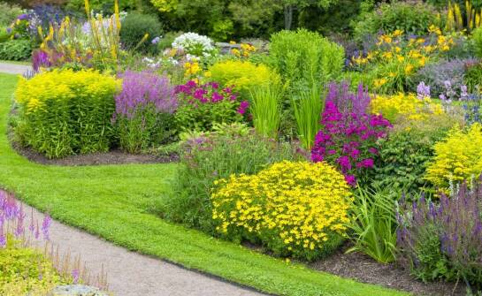 Różnorodność gatunkowa – jakie unikalne rośliny można znaleźć w naszym Centrum ogrodniczym?