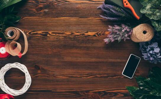 Przegląd nowoczesnych preparatów odstraszających dzikie zwierzęta – co oferuje rynek?