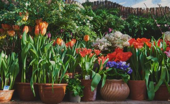 Donica kwadratowa 60x60 – jakie materiały są najlepsze do jej produkcji?