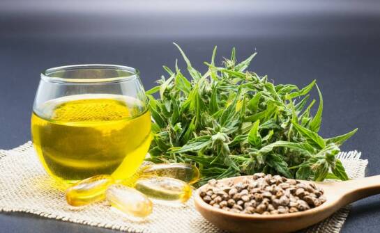 Susz konopny w codziennej diecie – jakie właściwości zdrowotne posiada?