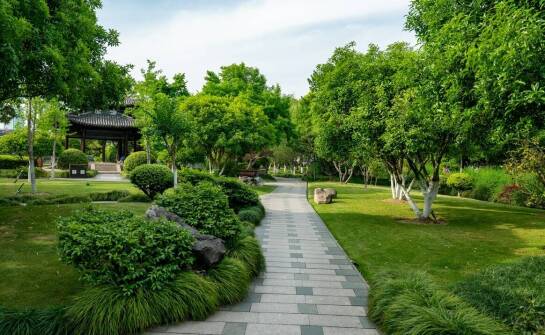 Sztuka projektowania ogrodów – co wyróżnia nasze podejście?