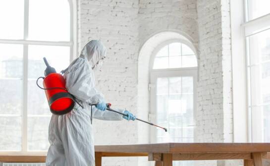 Jakie są etapy procesu fumigacji drewna i czego mo