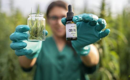 Podejście do zakupu olejku CBD: co warto wiedzieć przed podjęciem decyzji?