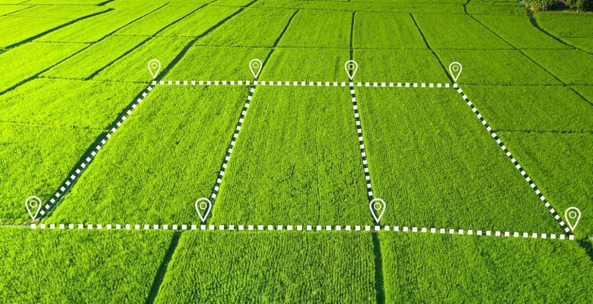 W jaki sposób wyznaczanie granic działki wpływa na wycenę nieruchomości?