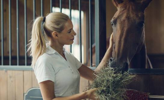 Rola zajeżdżania koni w integracji zwierząt z jeźdźcem w Turku