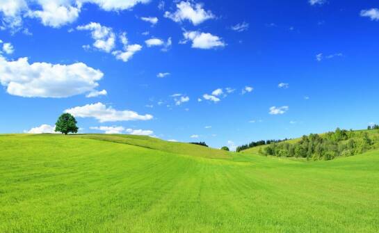 Historia objawień gietrzwałdzkich: kluczowe przesłania i ich znaczenie