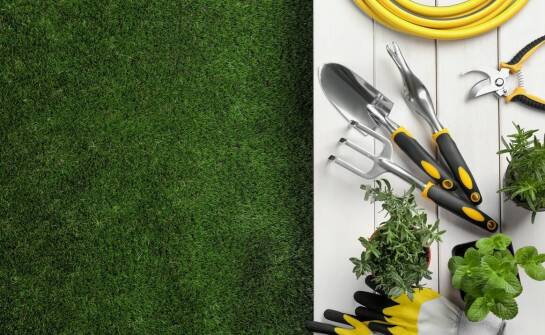 Jakie są najlepsze warunki do zakładania trawników jesienią?