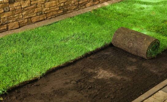 Trawnik z rolki: Jak wpływa na retencję wody w ogrodzie?