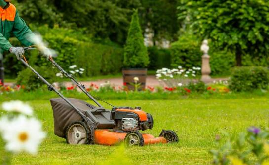 Czy każdy typ trawnika wymaga wertykulacji?