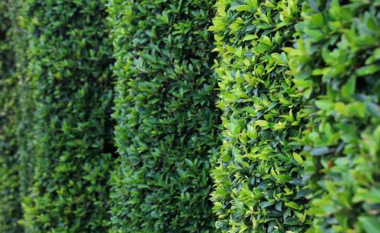 Jakie są ekologiczne aspekty wyboru sztachet metalowych?