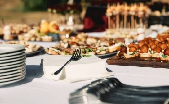Catering na wydarzenia Zator: Jakie dania wybrać na przyjęcia rodzinne?