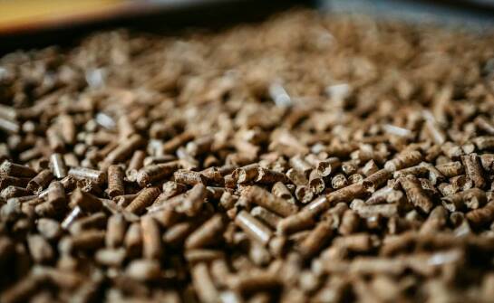 Jak producenci pelletu wspierają ochronę środowiska poprzez swoją działalność?