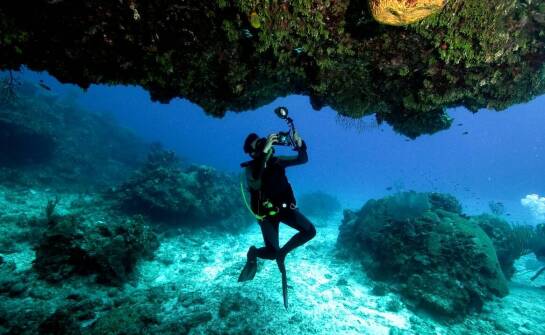 Podwodne cuda – co można zobaczyć podczas wypraw nurkowych?