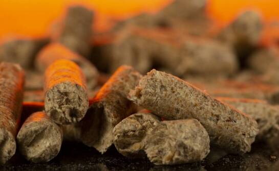 Zalety brykietu z trocin iglastych w formie walca