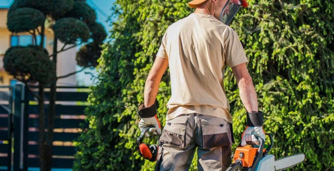 Usługi przycinania drzew a bezpieczeństwo infrastruktury miejskiej