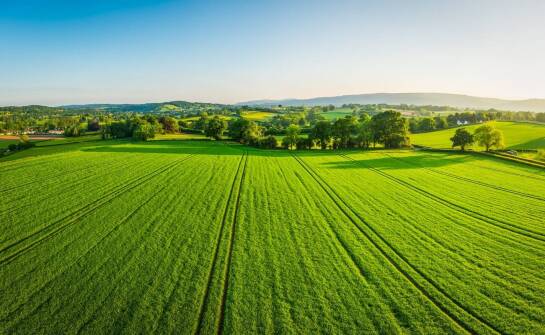 Ekologiczne podejście w produkcji luster – nasze zobowiązanie