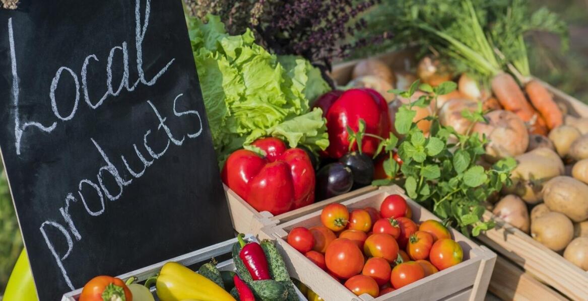 W jaki sposób dystrybutorzy żywności ekologicznej dbają o zrównoważony rozwój?