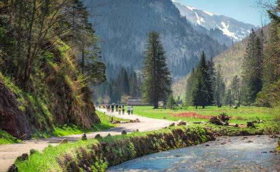 Trasa rowerowa wzdłuż Dunaju – odkryj malownicze zakątki Europy na dwóch kółkach