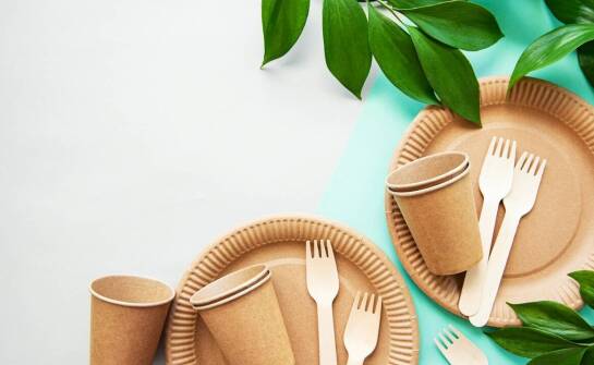 Dlaczego warto zdecydować się na ekopacki przy produkcji opakowań muzycznych?