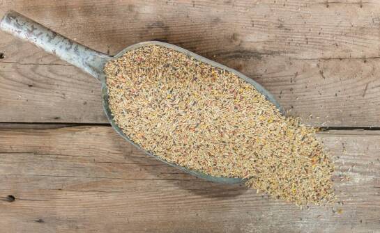 Jakie korzyści przynosi stosowanie pasz z dodatkiem białka sojowego dla świń?