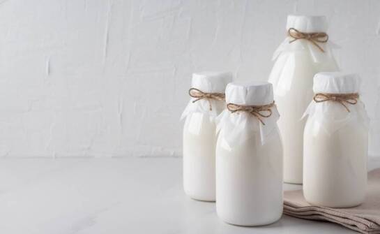 Jakie szczepy wybrać do domowego jogurtu probiotycznego?