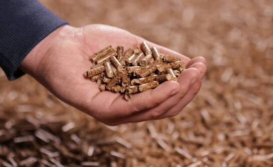 Czym wyróżnia się pellet dostępny w Pruszczu Gdańskim na tle konkurencji?