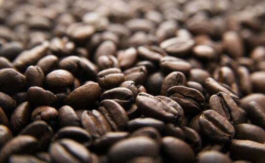 Porównanie kawy Bristot Gentile ziarnistej z innymi popularnymi mieszankami