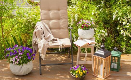 Jakie donice wybrać do uprawy roślin balkonowych?