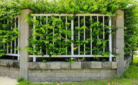 Stojaki na rowery z betonu: funkcjonalność i nowoczesny design w ogrodzie