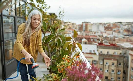 Funkcjonalność skrzynek balkonowych 50 cm w przestrzeni miejskiej