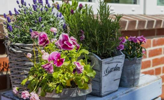 Wybór skrzynki balkonowej na kwiaty - co warto wiedzieć?