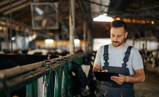 Dlaczego warto współpracować z doświadczonym producentem pasz dla zwierząt?