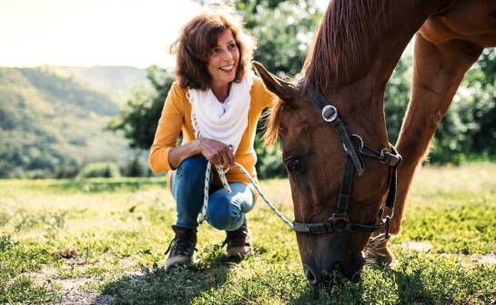 Jak odróżnić objawy kolki u konia od innych dolegliwości zdrowotnych?
