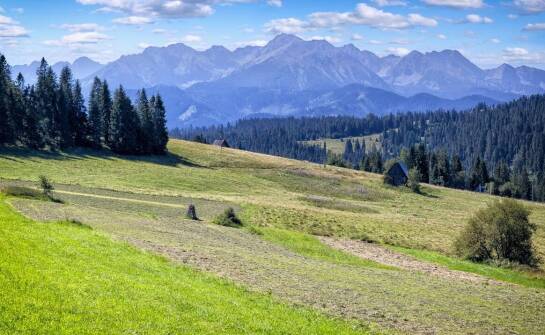 Dlaczego warto skorzystać z doradztwa kredytowego przy zakupie nieruchomości w Buczkowicach?
