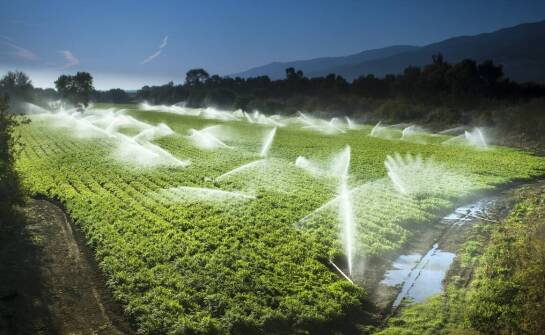 W kontekście zmieniającego się klimatu