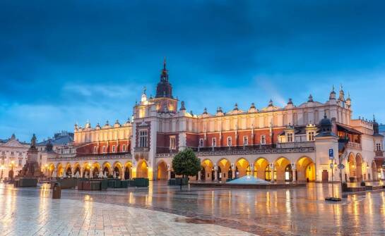 Co wyróżnia naszą usługę mobilnego odbioru elektrośmieci w Krakowie?