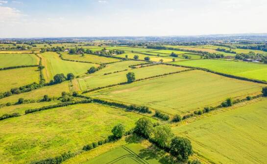 Jakie czynniki klimatyczne uwzględnić przy planowaniu nawadniania?