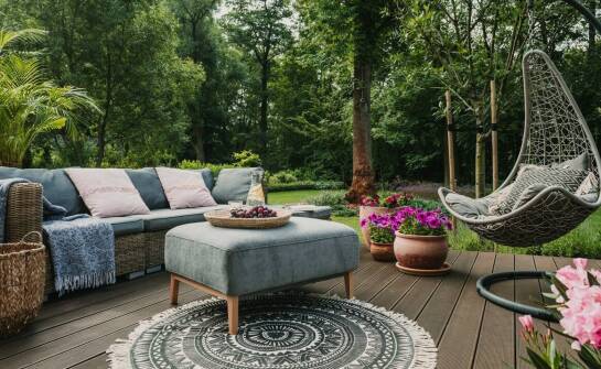 Rola katalpy na pniu w tworzeniu harmonijnych kompozycji roślinnych