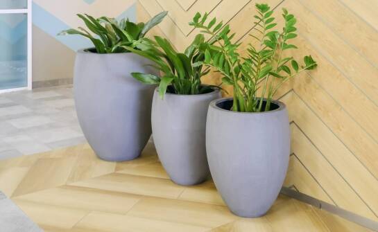 Zastosowanie donic z włókna szklanego w aranżacji nowoczesnych biur