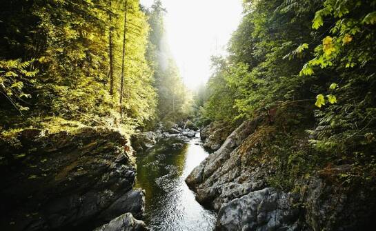 Spływy kilkudniowe z noclegiem – jak planujemy niezapomniane przygody na rzece?