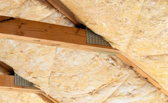 Jakie działania podjąć, gdy kuna uszkodzi izolację na poddaszu?