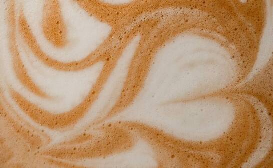 Rola Robusty w mieszankach kawy Dallmayr Barista