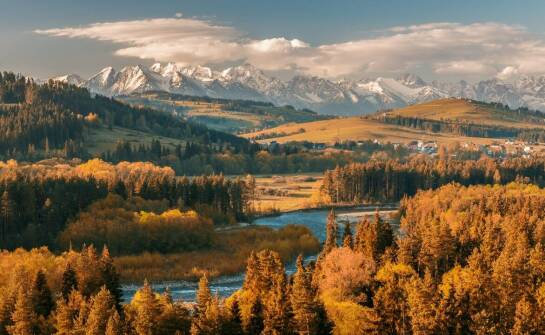 Rola mis tybetańskich w procesie wzmacniania sił samo uzdrawiających