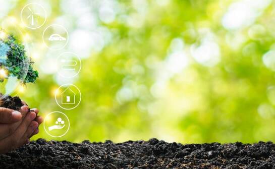 Dlaczego warto wybierać ekologiczne plandeki na zabudowy ciężarowe?