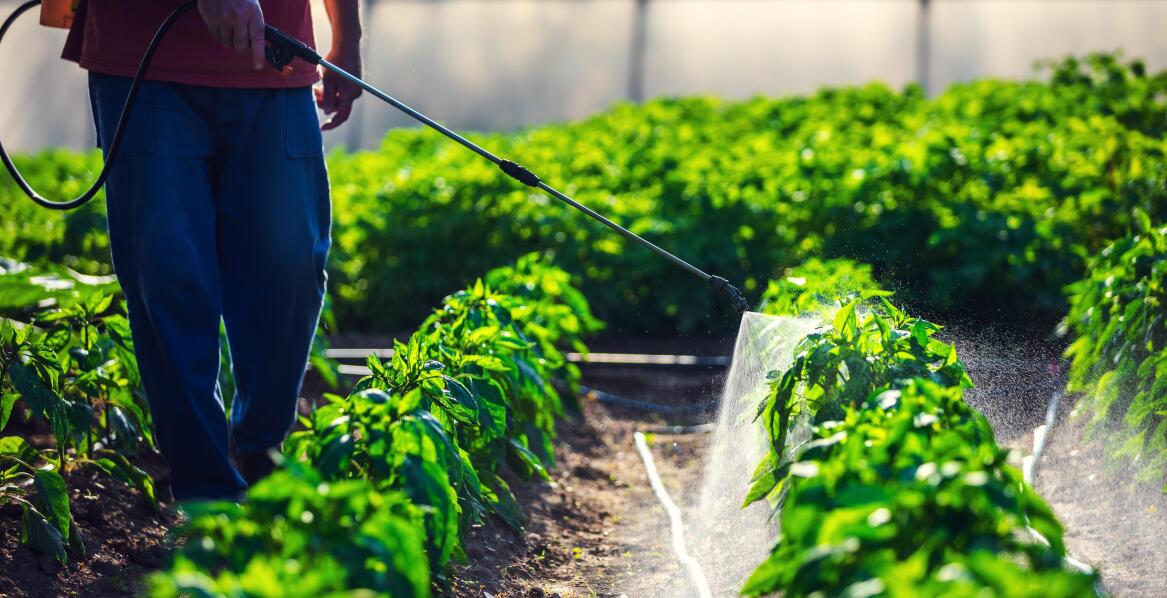Jakie środki ochrony roślin warto stosować w uprawach ekologicznych?