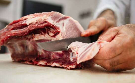 Jak właściwe użycie sprzętu wpływa na skuteczność zapobiegania salmonelli?