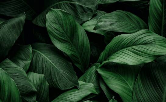 Krzem jako wsparcie w walce z przewlekłym zmęczeniem